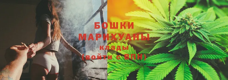 Бошки Шишки OG Kush  Галич 